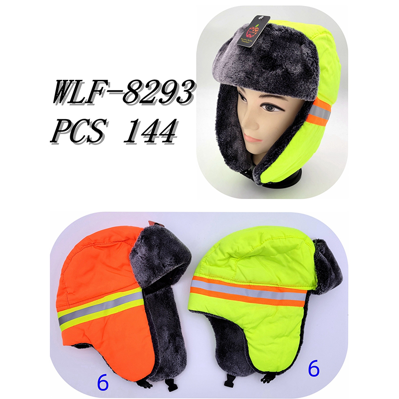 WLF-8293 CS144